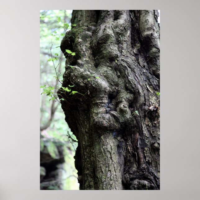 wood sprite poster (Front)