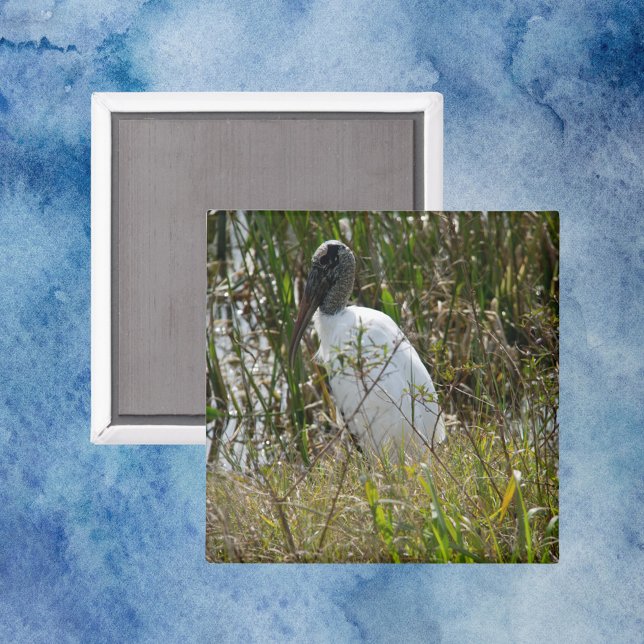 Wood Stork Bird Wetlands Florida Photo Magnet (A magnet with a photo of a wood stork bird in Florida)