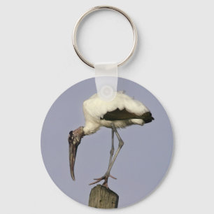 Wood Stork Key Ring
