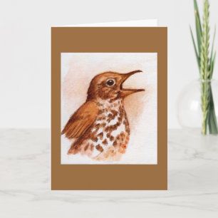 Wood Thrush -bird Note Card