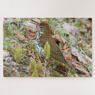Wood Thrush Jigsaw Puzzle