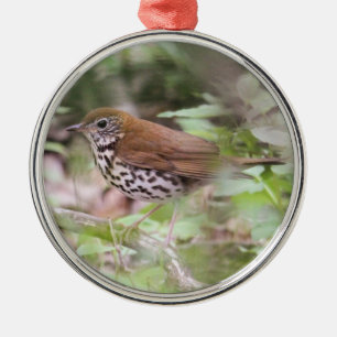 Wood Thrush Metal Tree Decoration