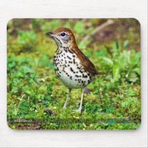 Wood Thrush Mousepad