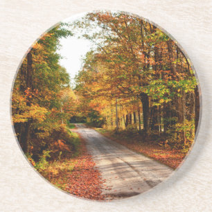 Wood trail with fall foliage coaster