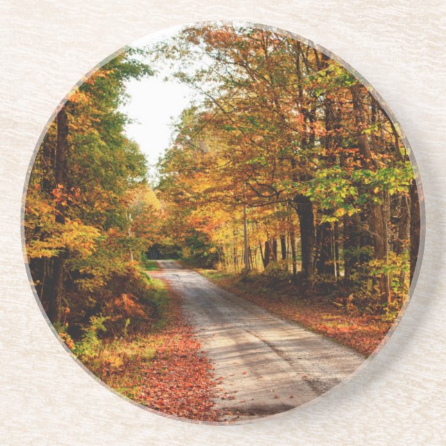 Wood trail with fall foliage coaster (Front)