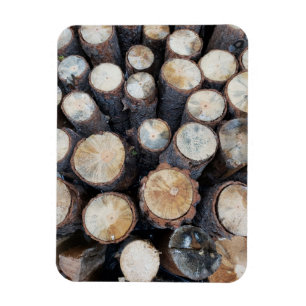 wood tree logs original nature photograph magnet