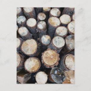 wood tree logs original nature photograph  postcard