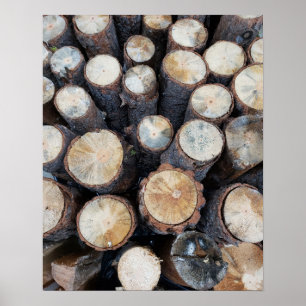 wood tree logs original nature photograph poster