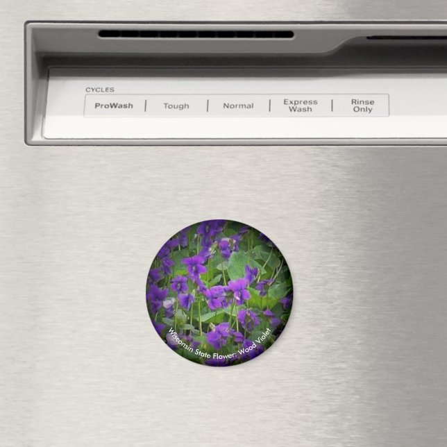 Wood Violet Spotlight Wisconsin State Flower Round Magnet (In Situ (Dishwasher))
