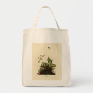 Wood Wren (House Wren), Audubon's Birds of America Tote Bag
