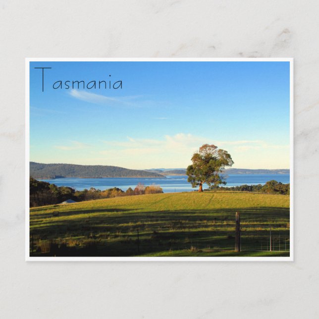 woodbridge landscape postcard (Front)