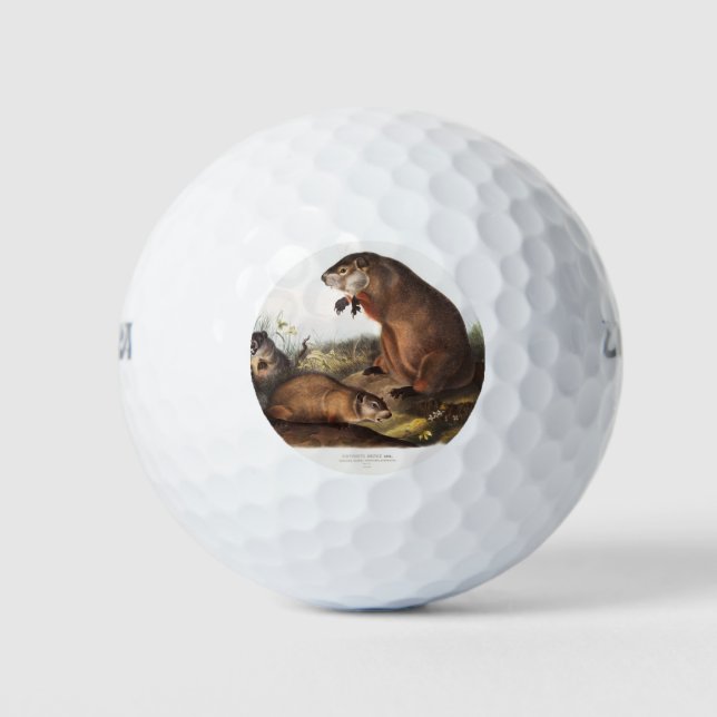 Woodchuck Camping Deco Gifts Golf Balls (Front)