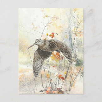 Woodcock Hunting Season Postcard