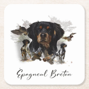 Woodcock hunting with Brittany Spaniel Square Paper Coaster