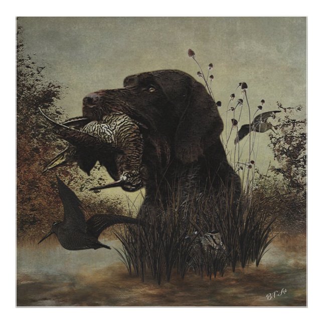 Woodcock Hunting with German Wirehaired Pointer   Photo Print (Front)