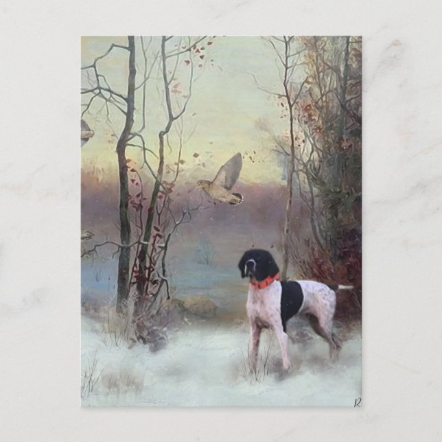 Woodcock Hunting with GSP    Holiday Postcard (Front)