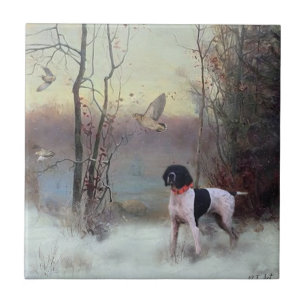 Woodcock Hunting with GSP Tile