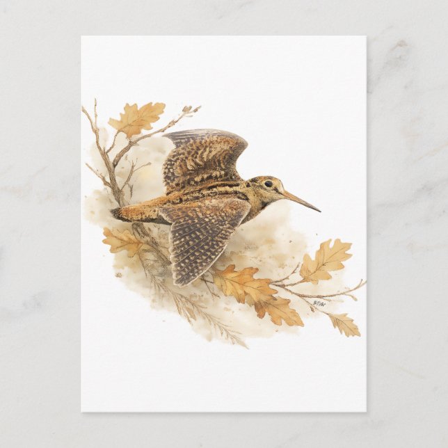 Woodcock  postcard (Front)