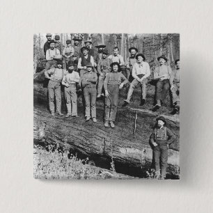 Woodcutters in California, 1891 15 Cm Square Badge