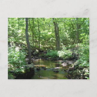 Wooded Creek Postcard