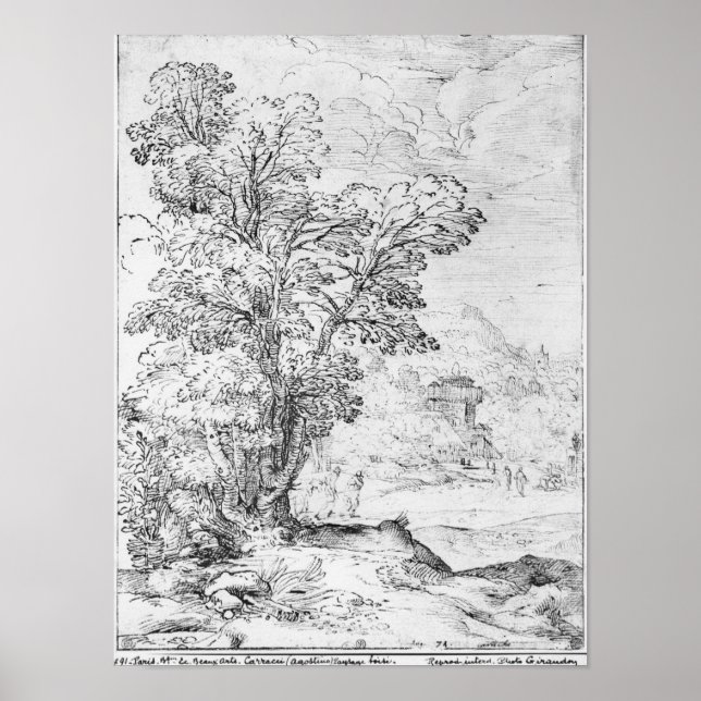 Wooded landscape poster (Front)