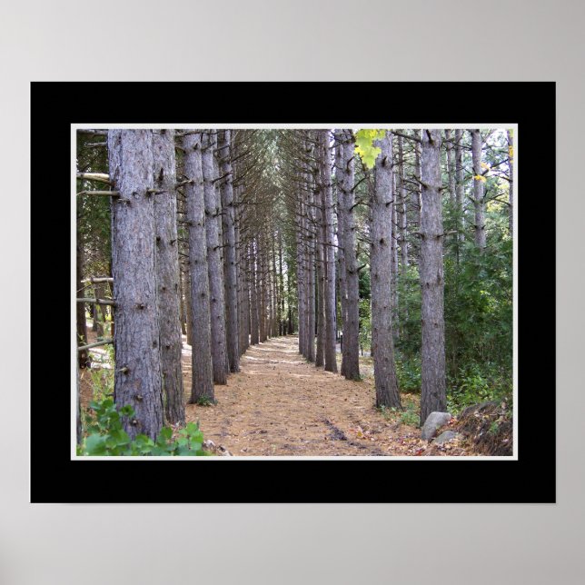Wooded Path Poster (Front)