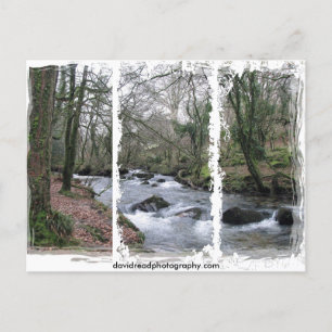 Wooded stream postcard