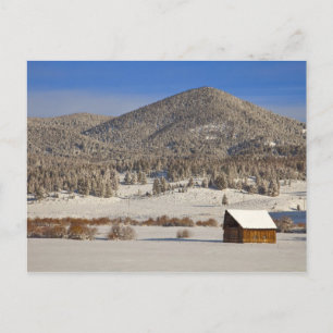 Wooden barn sits in snow near the Boulder Postcard