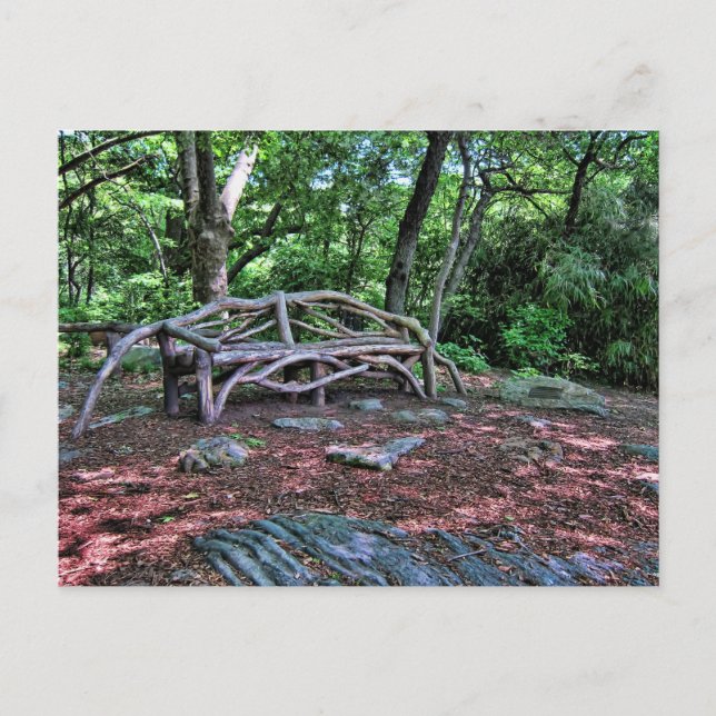 Wooden bench in Central Park, NYC Postcard (Front)