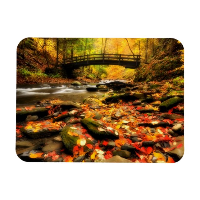 Wooden Bridge and Creek in Fall Magnet (Horizontal)