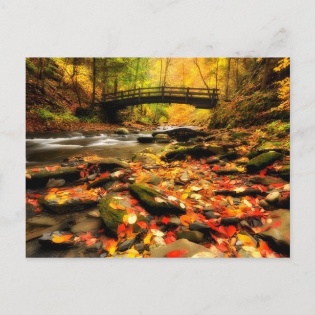 Wooden Bridge and Creek in Fall Postcard (Front)