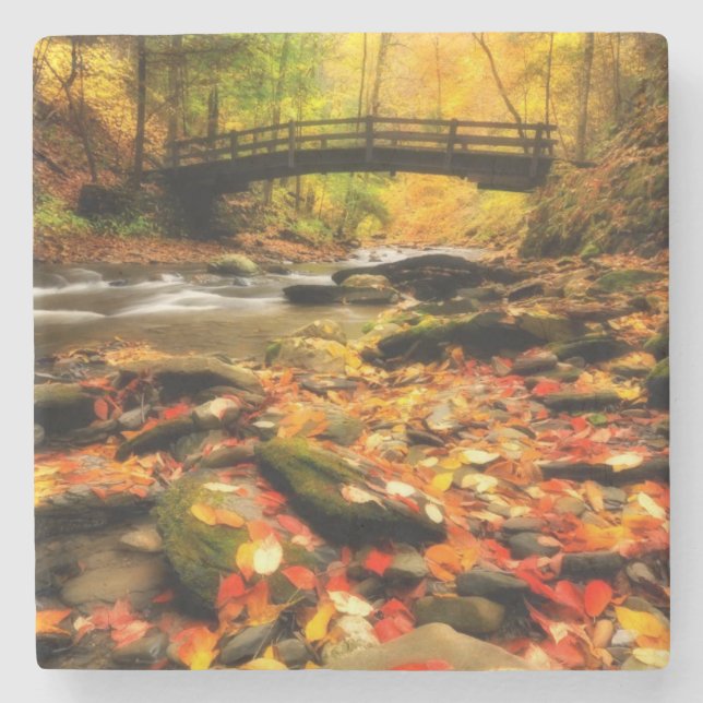 Wooden Bridge and Creek in Fall Stone Coaster (Front)