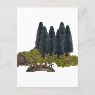 Wooden bridge in the mountain forest holiday postcard