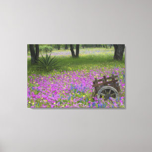 Wooden Cart in field of Phlox, Blue Bonnets Canvas Print