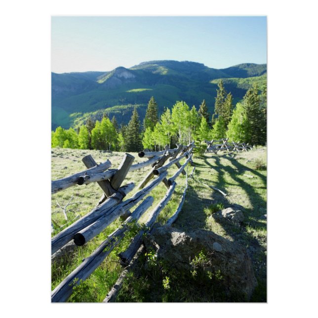 Wooden Fenceline Poster (Front)