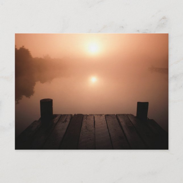 Wooden Jetty on Lake at Sunset | New Orleans, LA Postcard (Front)