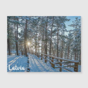 Wooden path across snowy winter forest