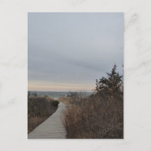 Wooden Path Postcard
