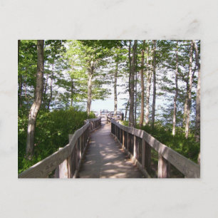 Wooden Railing Postcard