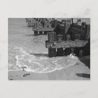 "Wooden Sea Defences" Postcard