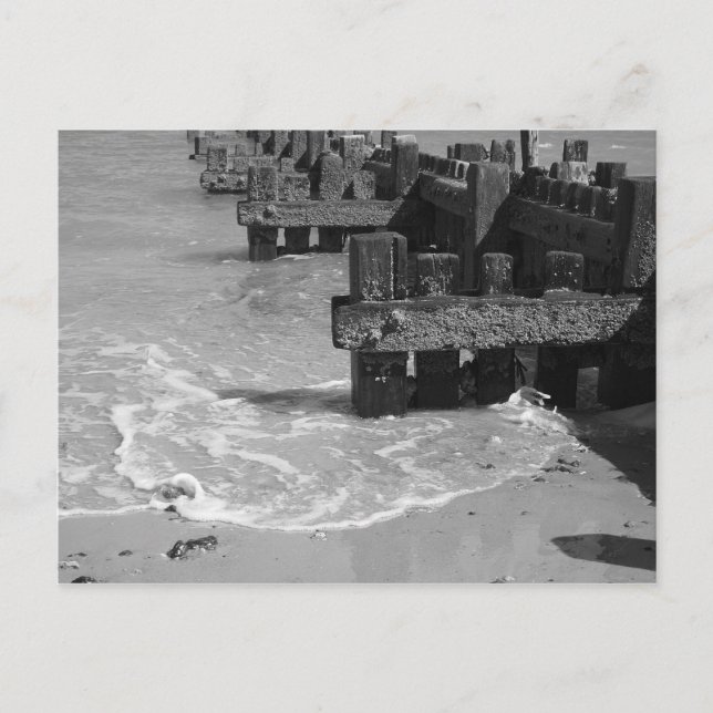 "Wooden Sea Defences" Postcard (Front)