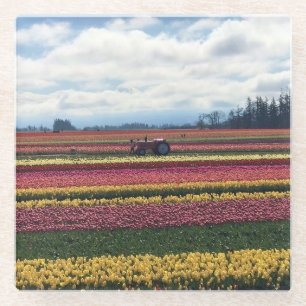 Wooden Shoe Tulip Farm, Woodburn, Oregon Glass Coaster