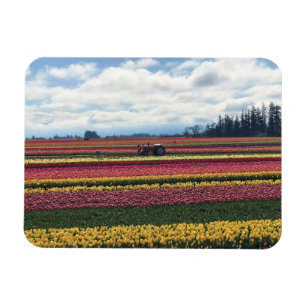 Wooden Shoe Tulip Farm, Woodburn, Oregon Magnet