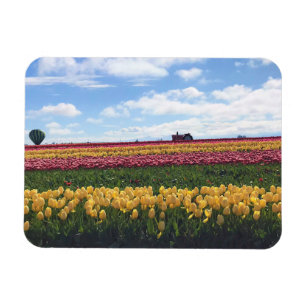Wooden Shoe Tulip Farm, Woodburn, Oregon Magnet