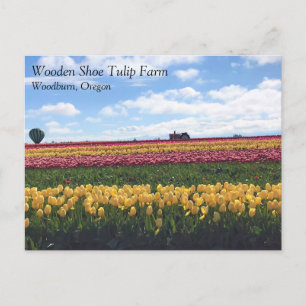Wooden Shoe Tulip Farm, Woodburn, Oregon Postcard