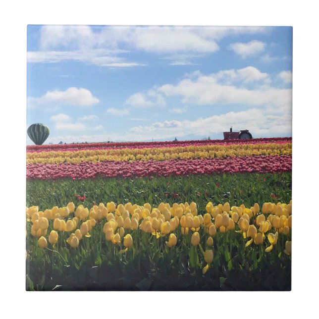 Wooden Shoe Tulip Farm, Woodburn, Oregon Tile (Front)