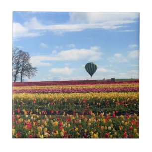 Wooden Shoe Tulip Farm, Woodburn, Oregon Tile
