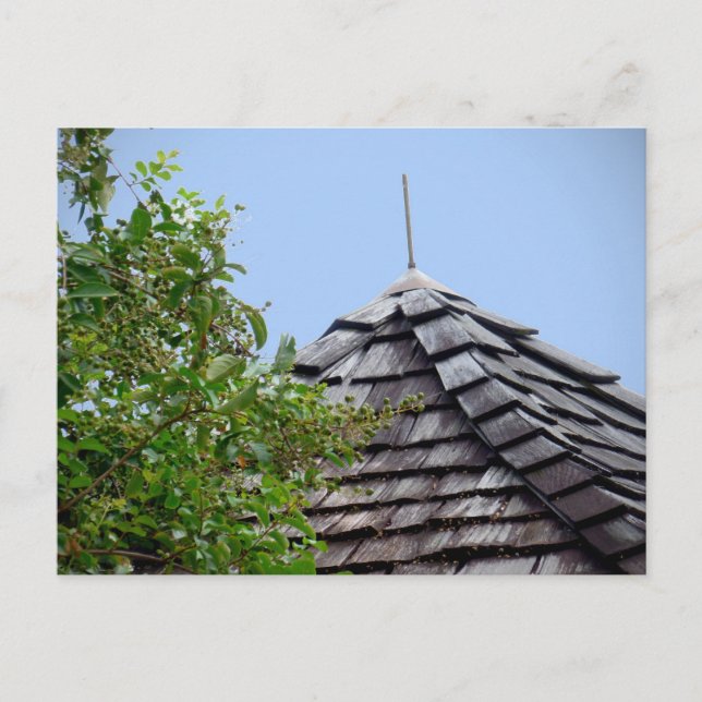 Wooden split shingle cupola sky tree sepia postcard (Front)