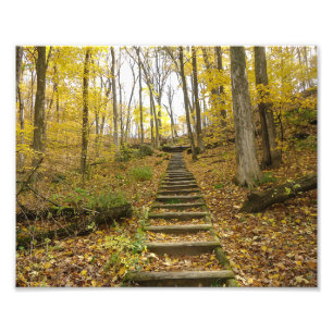 Wooden Stairs in a State Park Photo Print