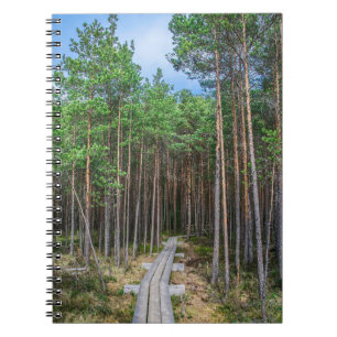 Wooden trail in pine forest notebook